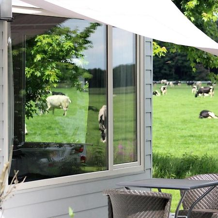 Panorama Box Op Camping De Stal Drijber Luaran gambar