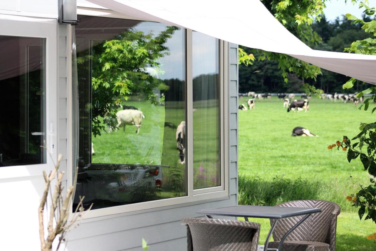 Panorama Box Op Camping De Stal Drijber Luaran gambar