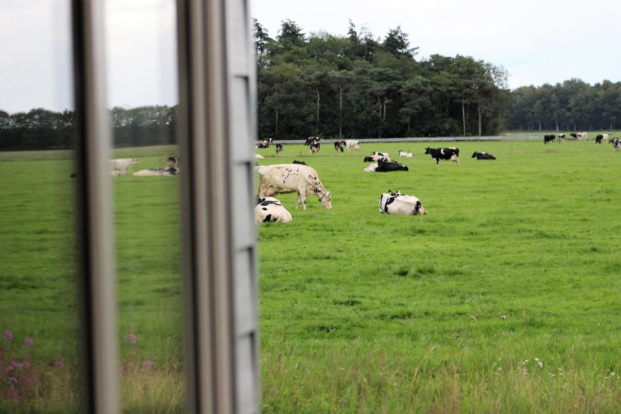 Panorama Box Op Camping De Stal Drijber Luaran gambar